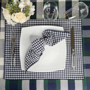 Checked tablecloth blue and green